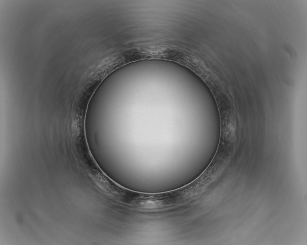 X0000112900658200909041724