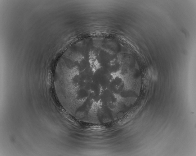 X0000112900659200909041724