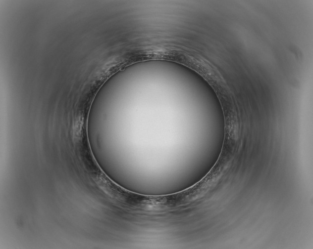 X0000112900660200909041724