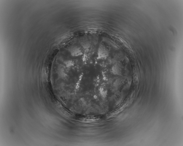 X0000112900661200909041724