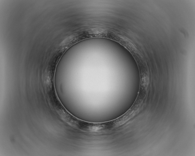 X0000112900662200909041724