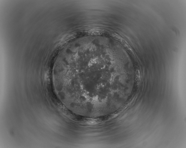 X0000112900663200909041724