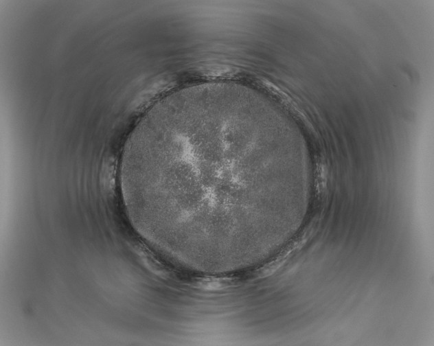 X0000112900664200909041724