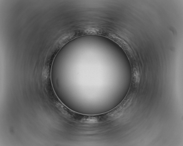 X0000112900665200909041724