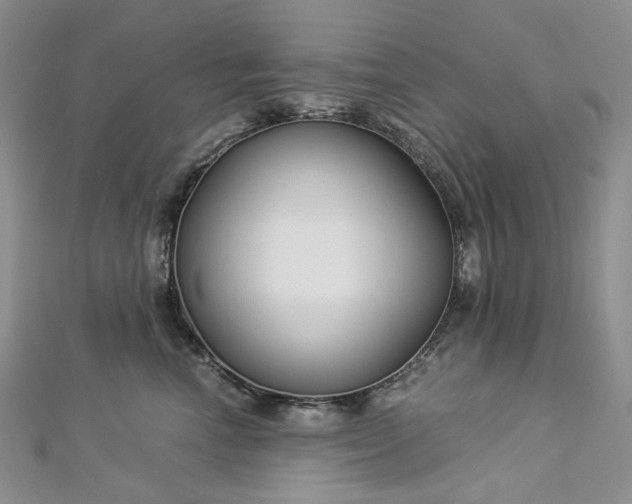 X0000112900666200909041724