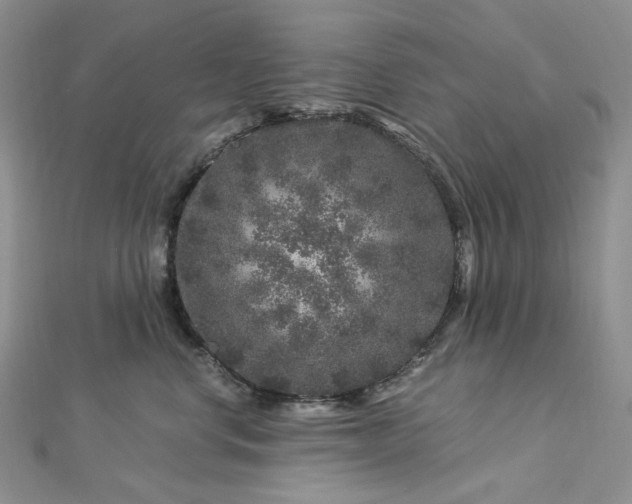 X0000112900668200909041724