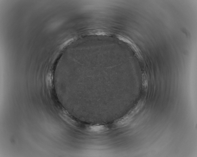 X0000112900669200909041724