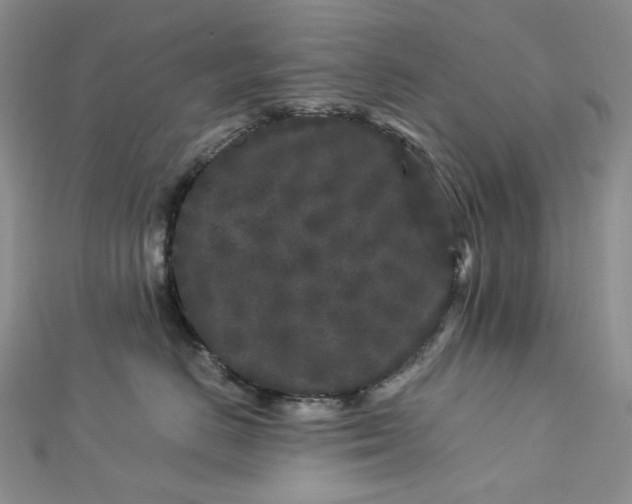 X0000112900670200909041724