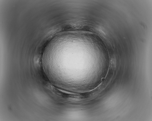 X0000112900671200909041724