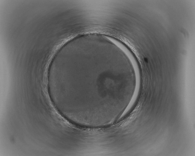 X0000112900673200909041723