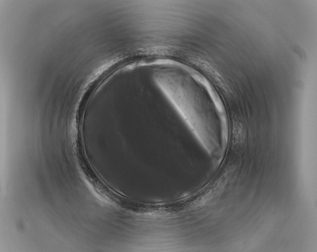 X0000112900674200909041723