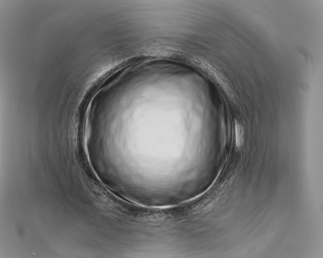 X0000112900675200909041723