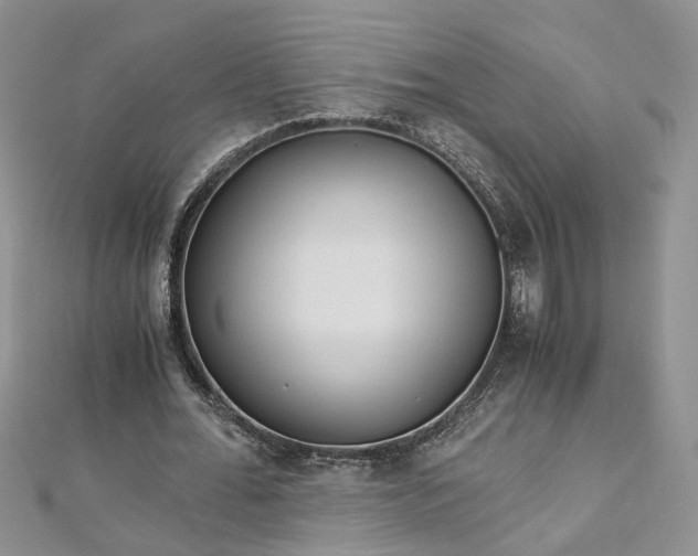 X0000112900676200909041723