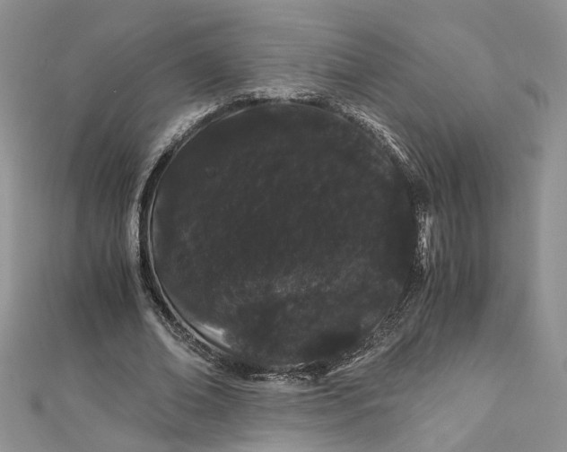 X0000112900678200909041723