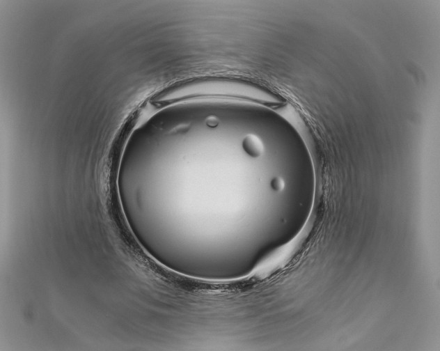 X0000112900679200909041723