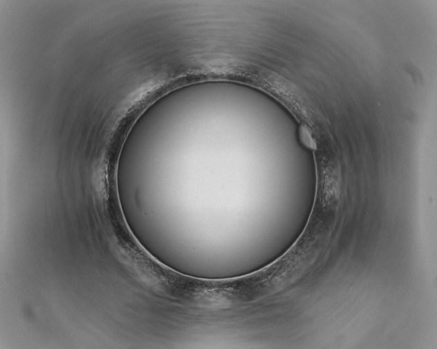 X0000112900680200909041723