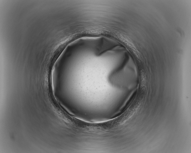 X0000112900681200909041723