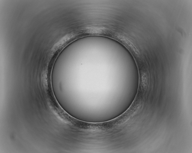 X0000112900682200909041723