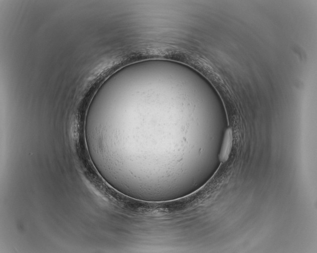 X0000112900683200909041723