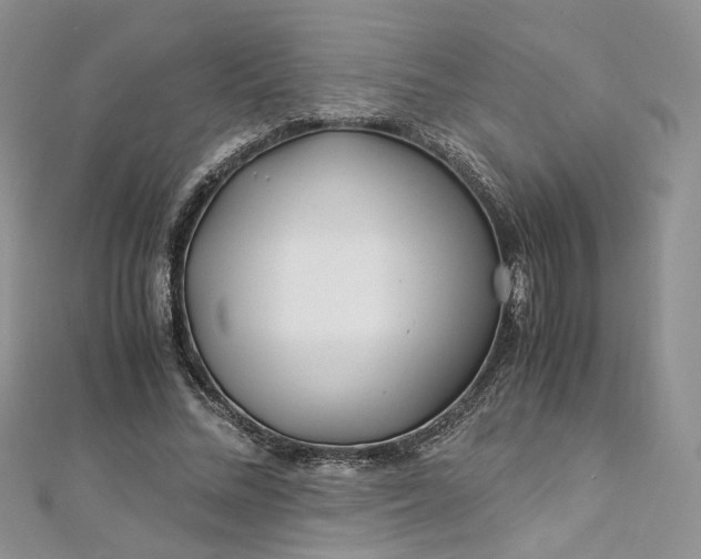 X0000112900684200909041723