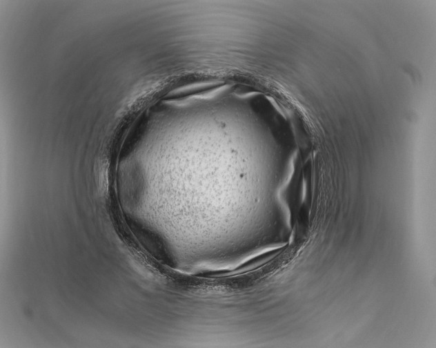 X0000112900685200909041723