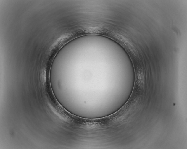 X0000112900686200909041723