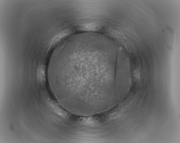 X0000112900688200909041723