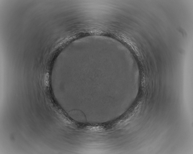 X0000112900689200909041723