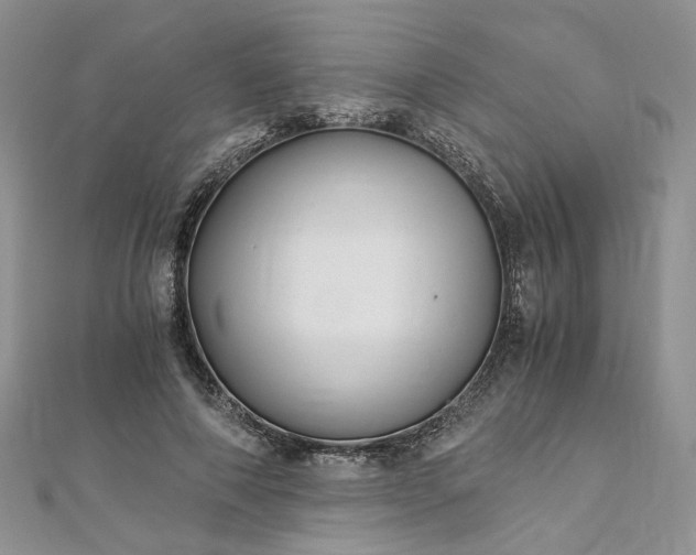 X0000112900690200909041723