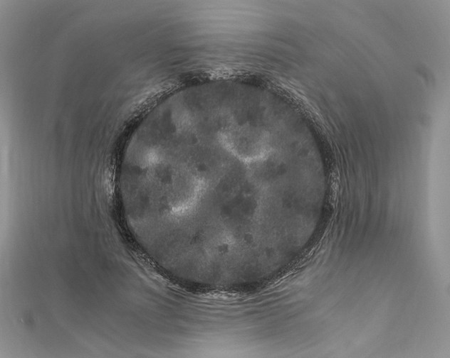 X0000112900691200909041723