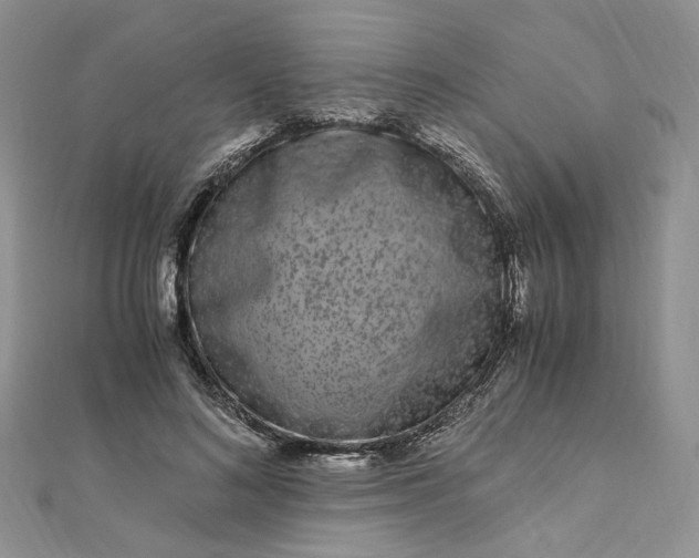 X0000112900692200909041723