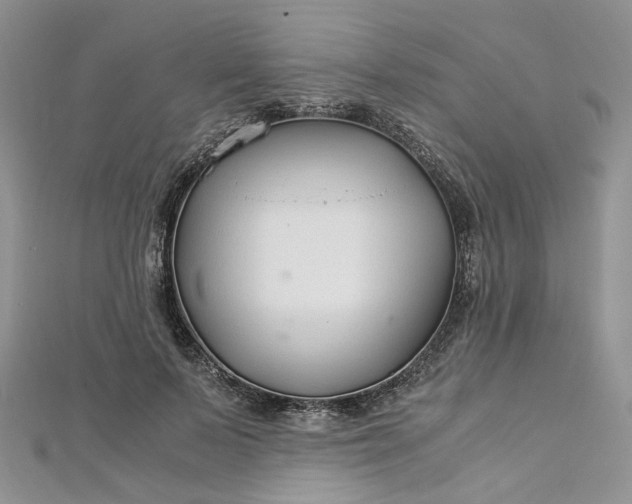 X0000112900695200909041723