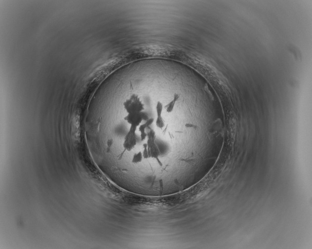 X0000112900696200909041723