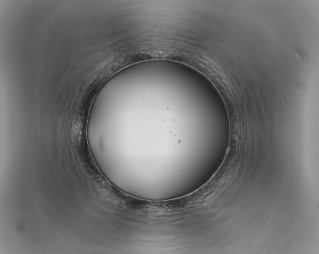 X0000112900697200909041723