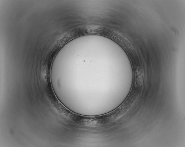 X0000112900698200909041723