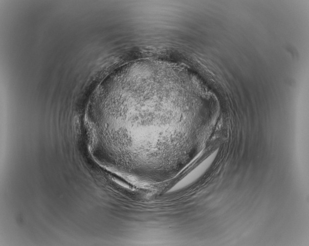 X0000112900699200909041723