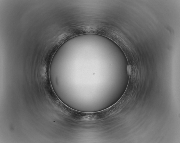 X0000112900700200909041723