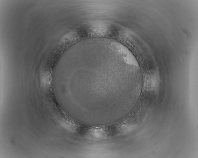 X0000112900701200909041723