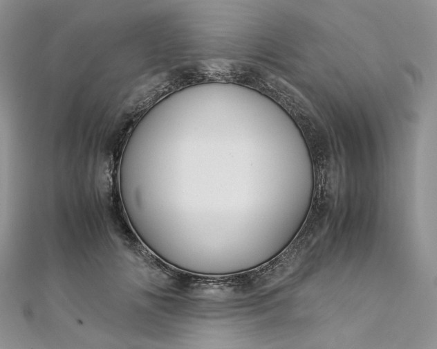 X0000112900702200909041723