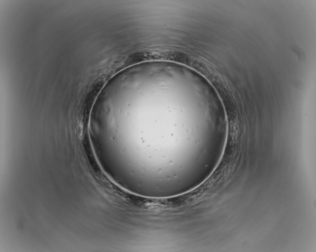 X0000112900703200909041723