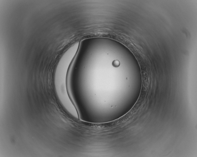 X0000112900704200909041723