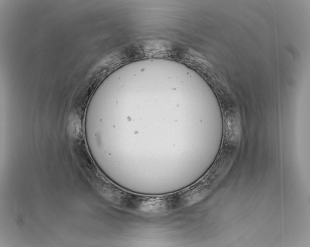 X0000112900705200909041723