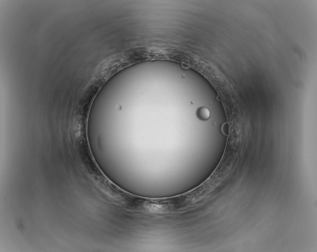 X0000112900706200909041723