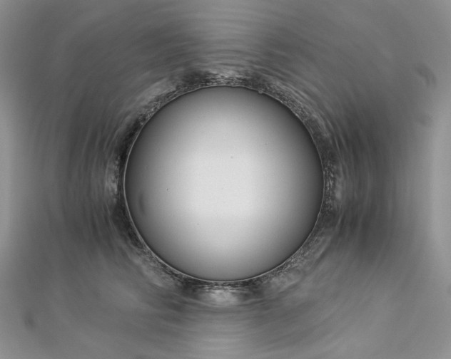 X0000112900710200909041723