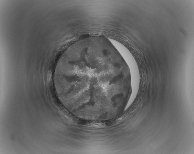 X0000112900711200909041723