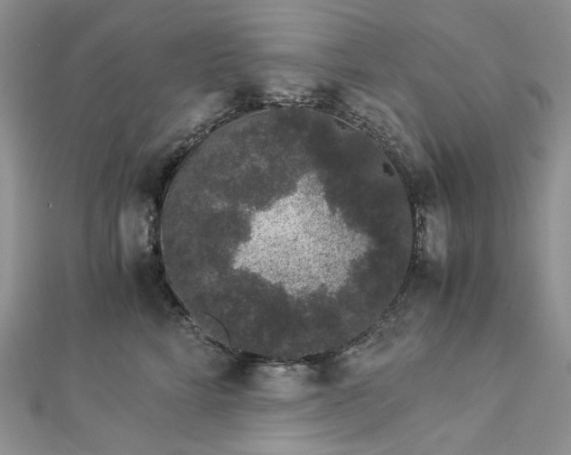 X0000112900712200909041723