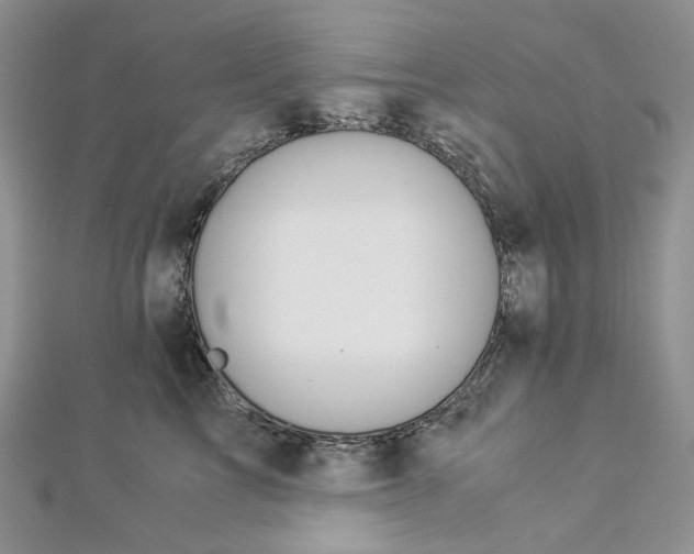 X0000112900713200909041723