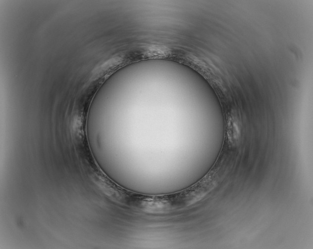 X0000112900714200909041723