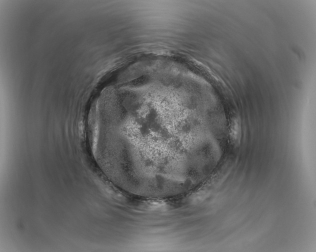 X0000112900715200909041723