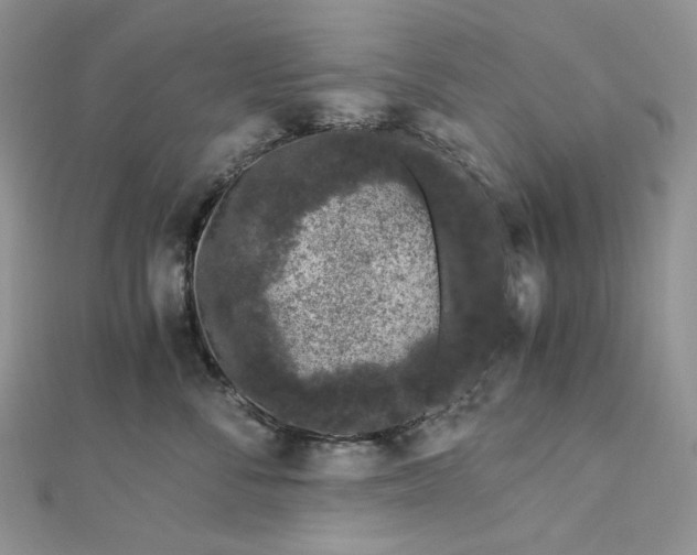 X0000112900716200909041723